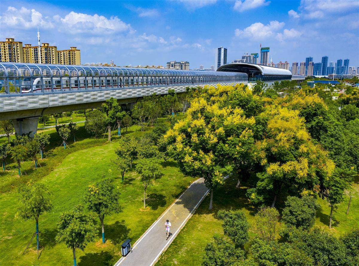 白家乐小路长顶路打法